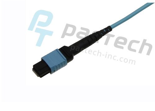 12F OM4 Multi Mode 50/125, MTP/PC to MTP/PC, 3.0mm